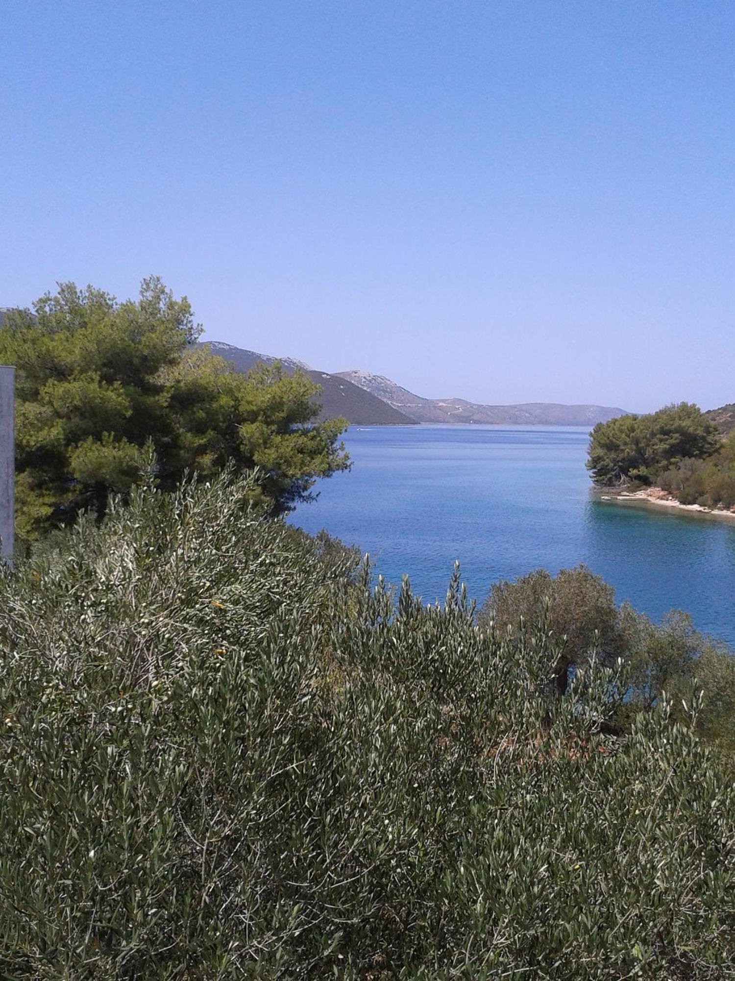 Apartmani Topolovec Luka  外观 照片